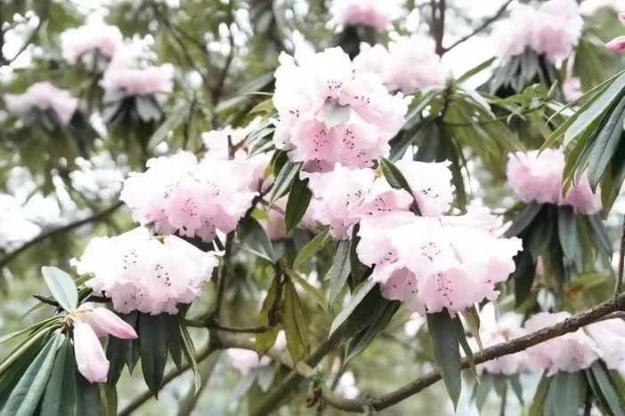 微信图片_20260331170220_1561_1