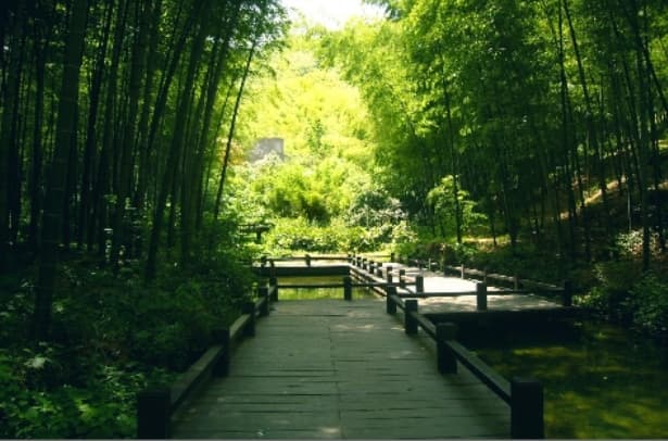 微信图片_20260407225755_1646_1