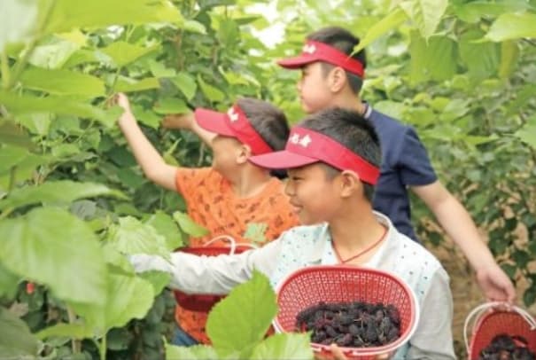 微信图片_20260407222852_1640_1