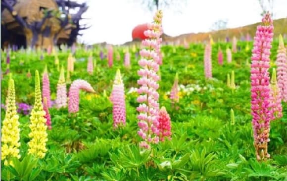 微信图片_20260407225803_1651_1