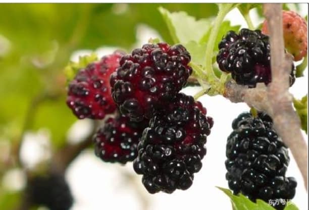 微信图片_20260407222853_1641_1