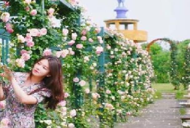 微信图片_20260407225759_1649_1