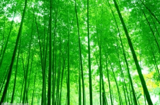 微信图片_20260407225754_1645_1