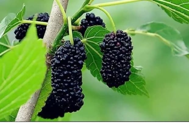 微信图片_20260407222851_1639_1