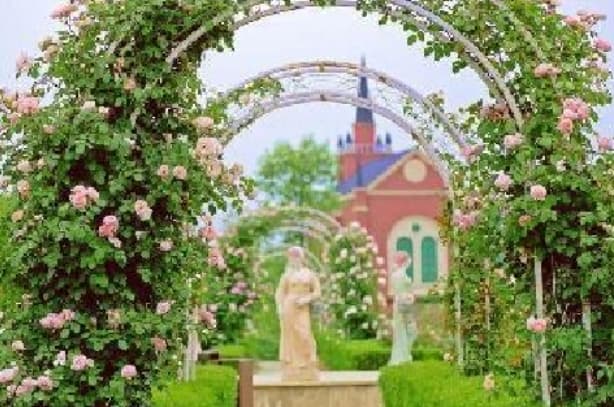 微信图片_20260407225758_1648_1