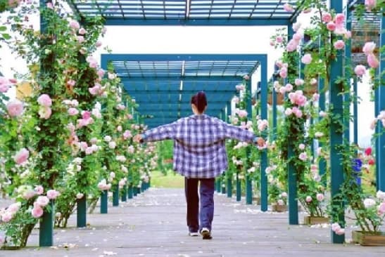 微信图片_20260407225802_1650_1