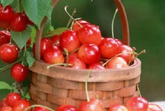 微信图片_20260413225130_1686_1