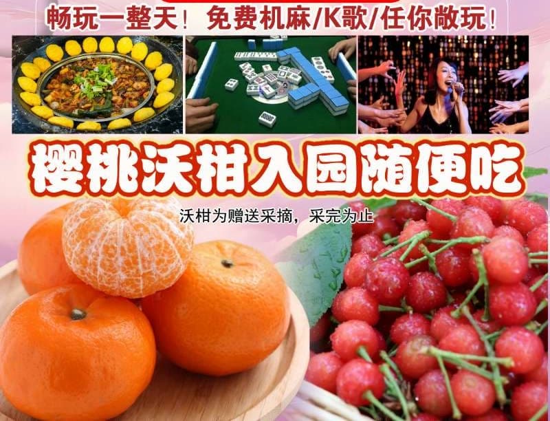 微信图片_20260413225125_1682_1