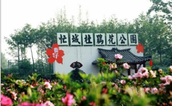 微信图片_20260420224720_1755_1