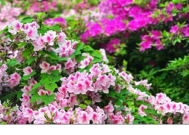 微信图片_20260420224729_1760_1