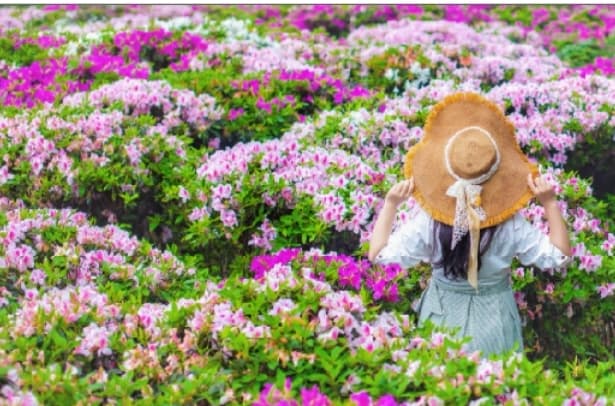 微信图片_20260420224725_1758_1