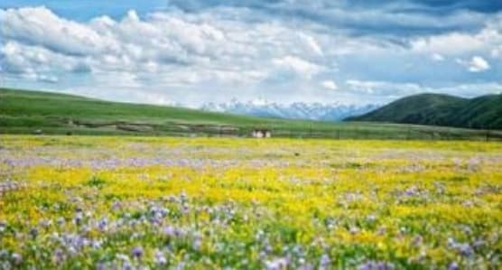 微信图片_20260429230050_1906_1